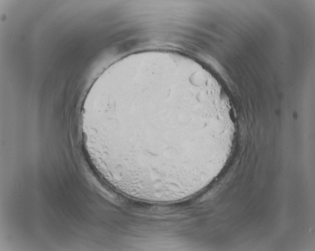 X0000062921371200602101846