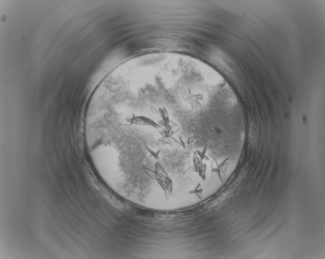X0000062921378200602101846