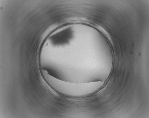 X0000062921384200602101846