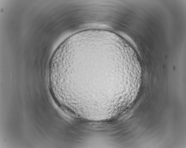 X0000062921391200602101846