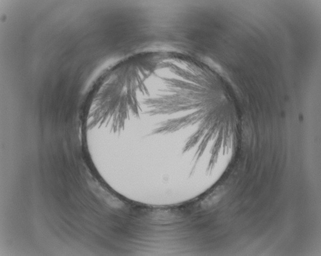 X0000062921408200602101845