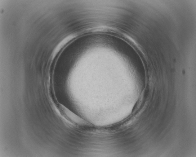 X0000062921418200602101845