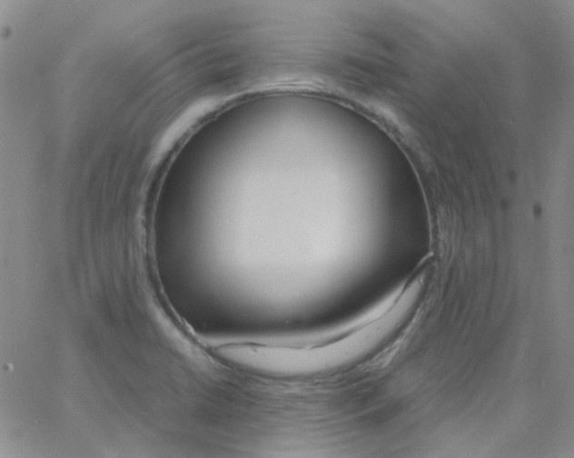 X0000062921422200602101845