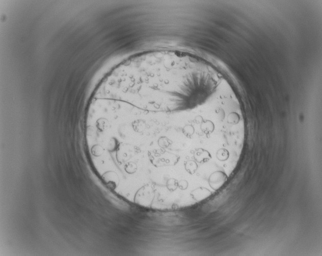 X0000062921432200602101846