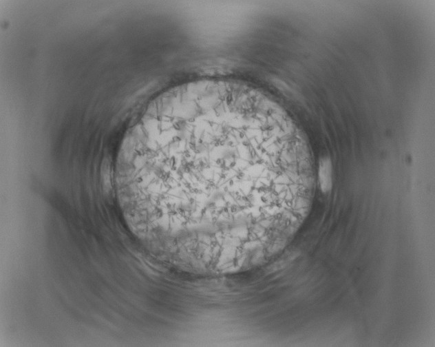 X0000062921444200602101845