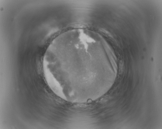 X0000062921446200602101845