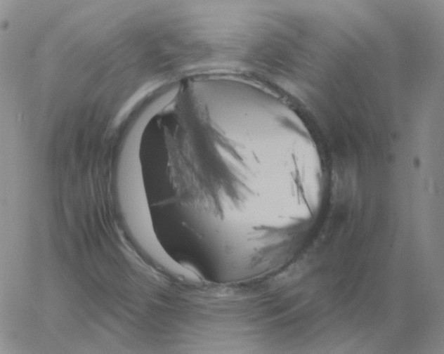 X0000062921450200602101845