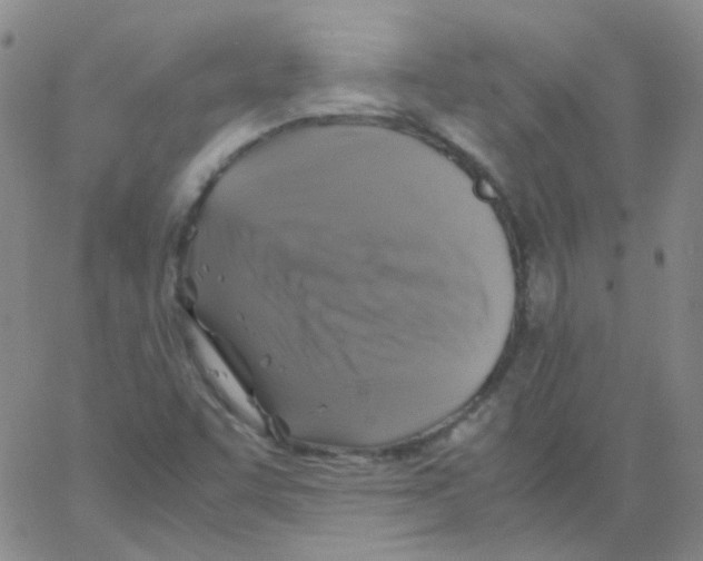 X0000062921455200602101845