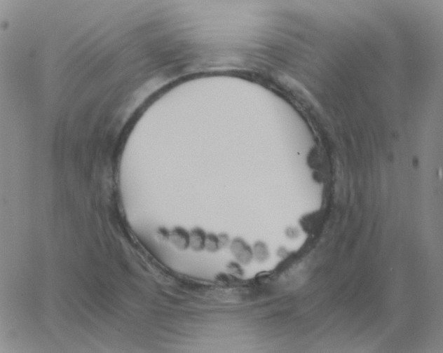 X0000062921457200602101845