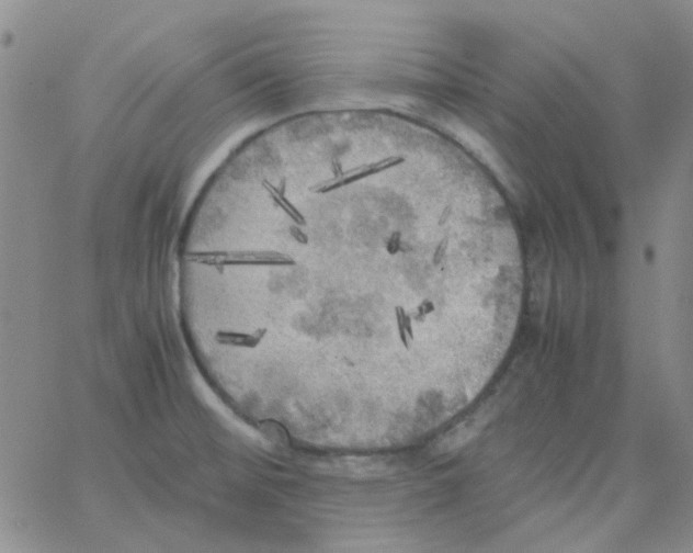 X0000062921476200602101844