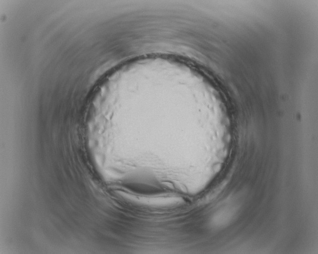 X0000062921497200602101844