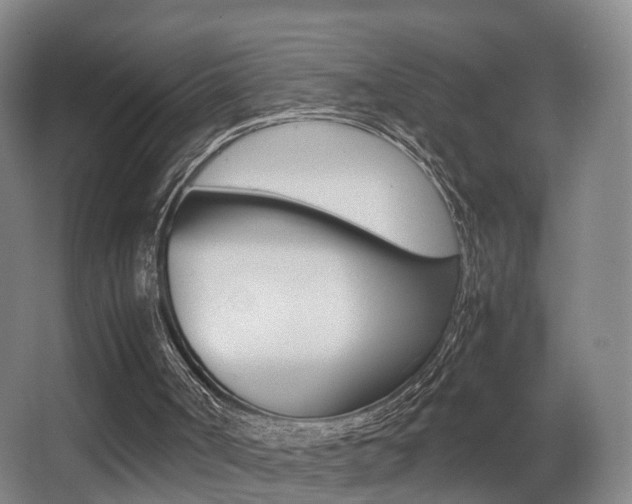 X0000062930002200601131126