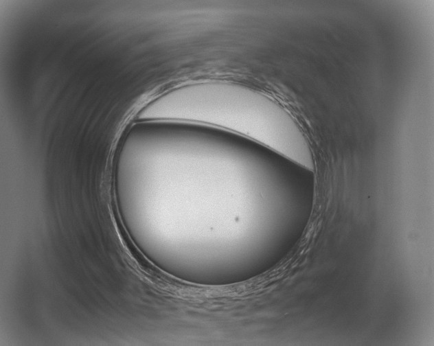 X0000062930003200601131126
