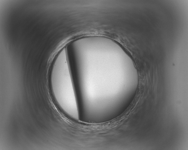 X0000062930005200601131126