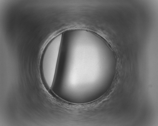 X0000062930007200601131126