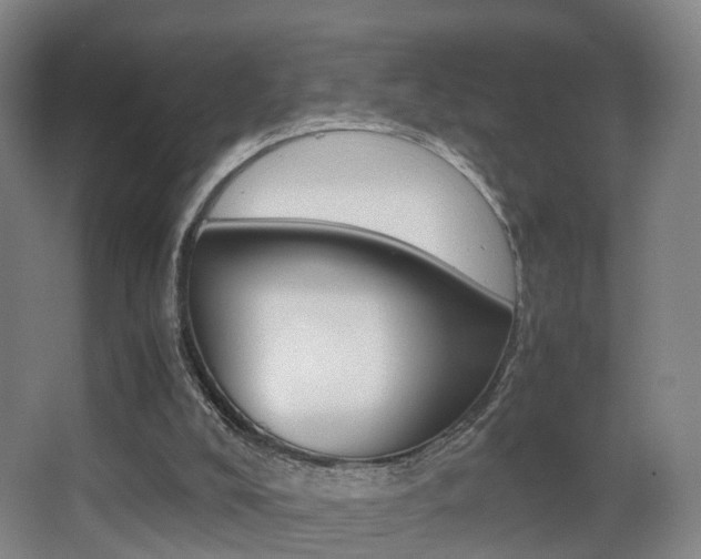 X0000062930008200601131126