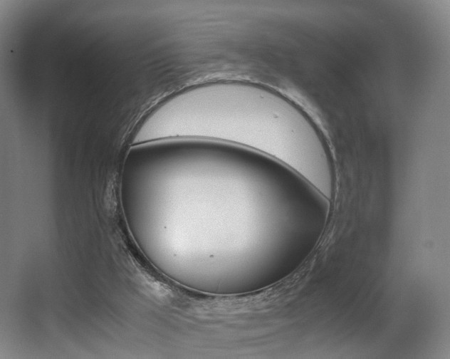 X0000062930009200601131126