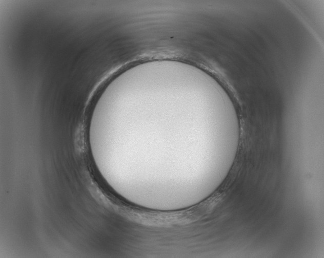 X0000062930012200601131126