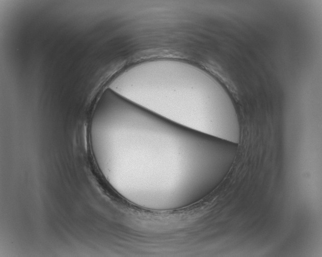 X0000062930014200601131126