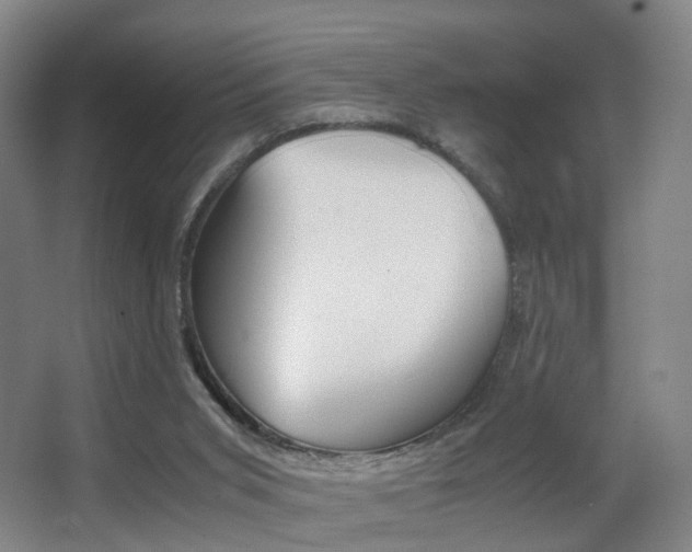 X0000062930015200601131126