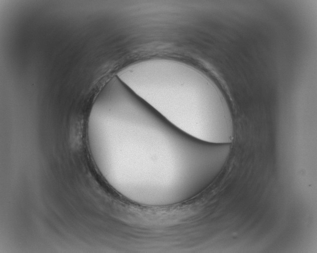 X0000062930018200601131126
