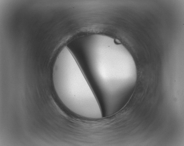 X0000062930020200601131126