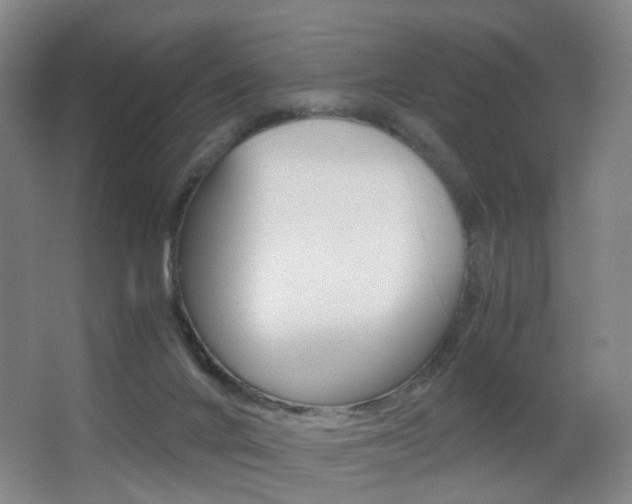 X0000062930024200601131126