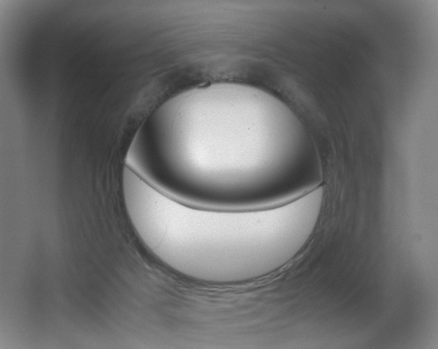 X0000062930025200601131126