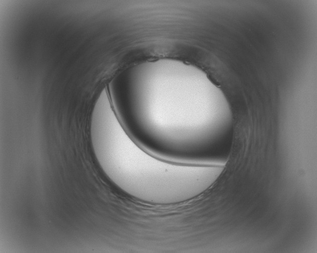X0000062930031200601131126
