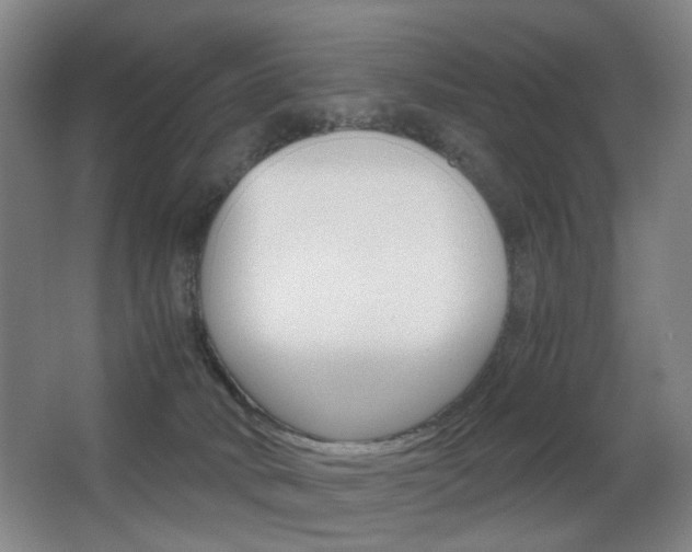 X0000062930034200601131126