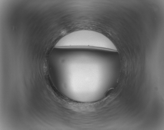 X0000062930040200601131126