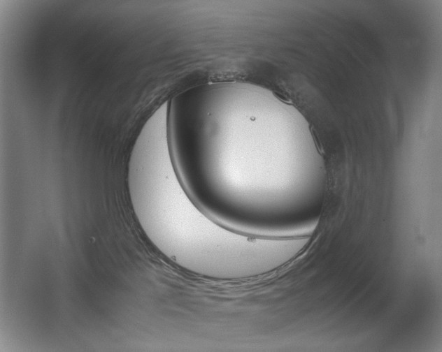 X0000062930041200601131126