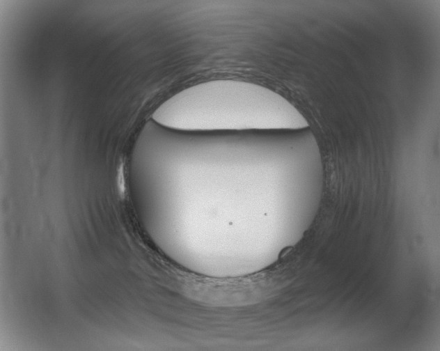 X0000062930042200601131126