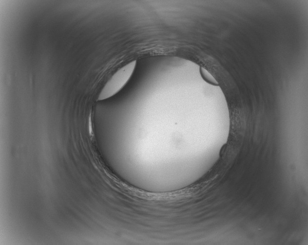 X0000062930046200601131126