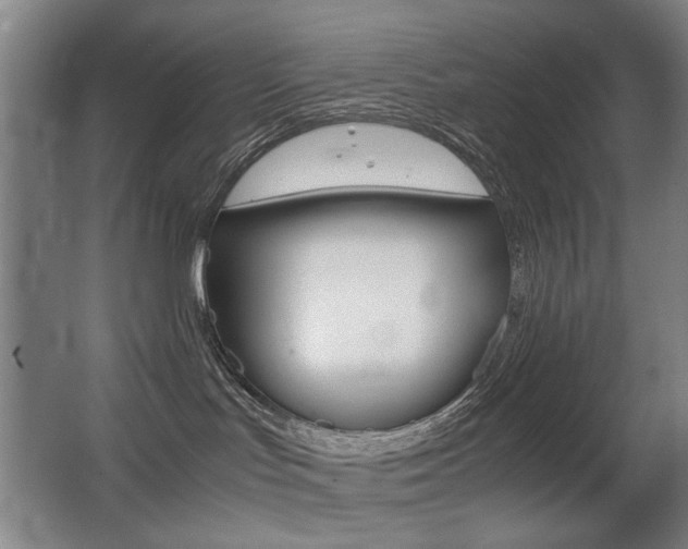 X0000062930047200601131126