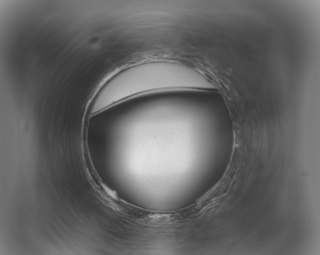 X0000062930052200601131125
