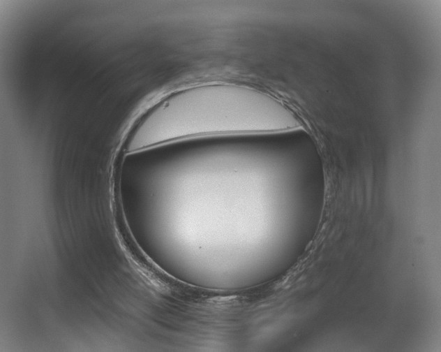 X0000062930054200601131125