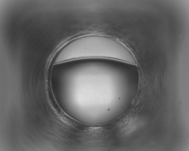 X0000062930055200601131125