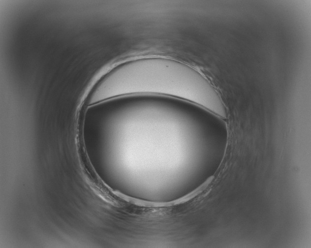 X0000062930056200601131125