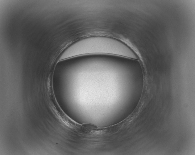 X0000062930057200601131125