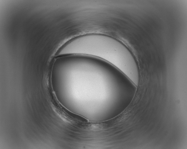 X0000062930060200601131125