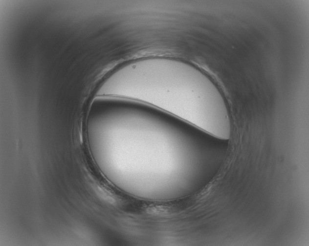 X0000062930062200601131125