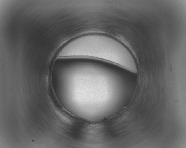 X0000062930063200601131125
