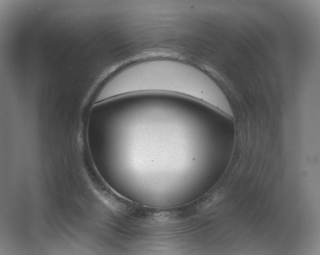 X0000062930064200601131125