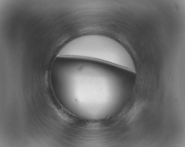 X0000062930066200601131125