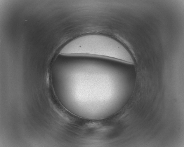 X0000062930067200601131125
