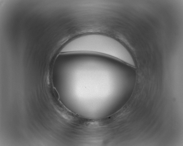 X0000062930068200601131125