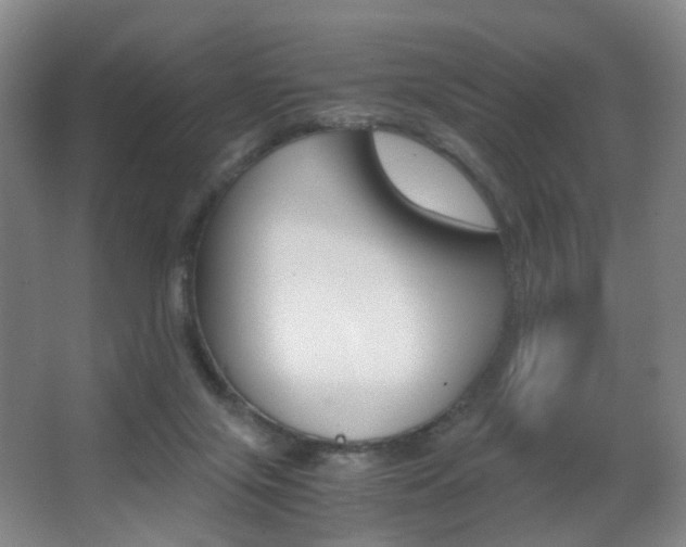 X0000062930071200601131125