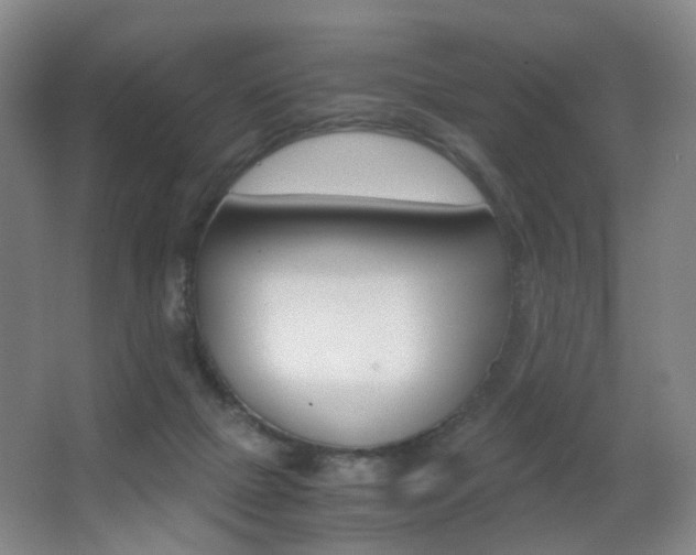 X0000062930073200601131125