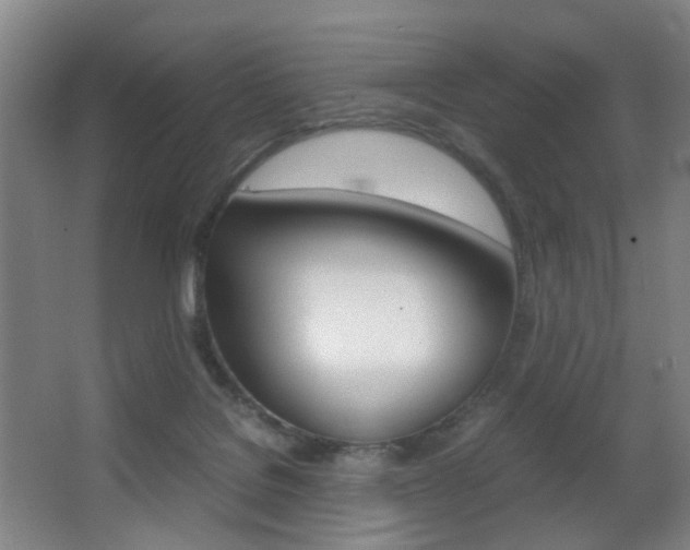 X0000062930076200601131125